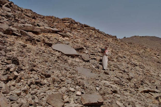 It is hot in Wadi Abu Subeira! So the site guard needs water while caring for the Late Palaeolithic ibex, carved on the slab in the middle of the image. Photo: Per Storemyr