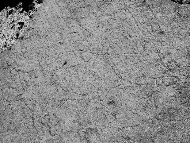 It is terribly difficult to photograph the Late Palaeolithic ibex! So rather see the tracing by Adel Kelany and his team, in the recent paper uploaded to academa.edu. Photo: Per Storemyr