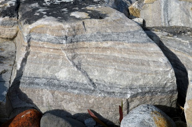 Den typiske, båndede, relativt grovkornde Gildeskålmarmoren, slik vi kan se den i fjæra nord for Gildeskål kirke. Dette er en lys kalkspatmarmor med mørkere bånd med mineraler som glimmer, amfibol, kvarts, grafitt og litt svovelkis. Noen få typer er også helt lyse. Foto: Per Storemyr