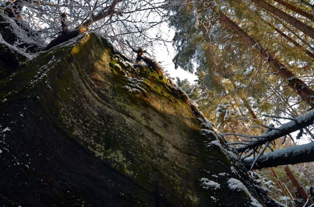 Quarry wall at Øvre Myklebust. Almost 10 metres high, this is one of the larger individual quarries in Hyllestad. Photo by Per Storemyr