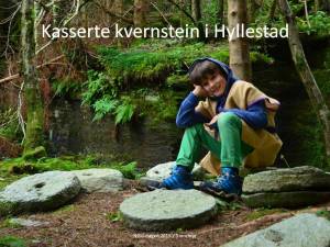 bevaring-steinbrudd-storemyr (5)