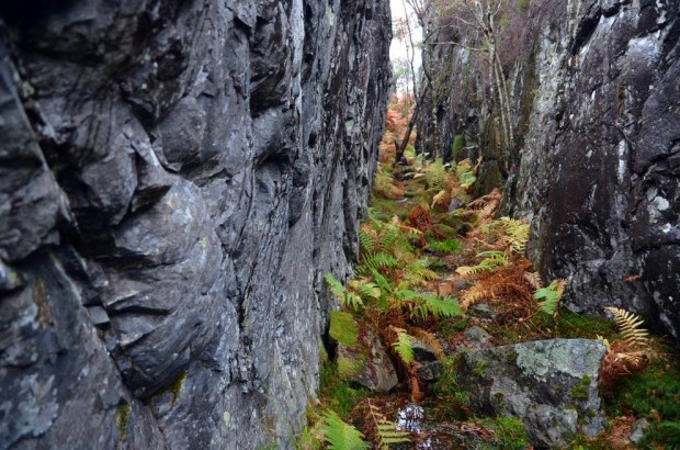 Stakaldeneset diabasbrudd - steinalderens øksebrudd ved Florø. Foto: Per Storemyr