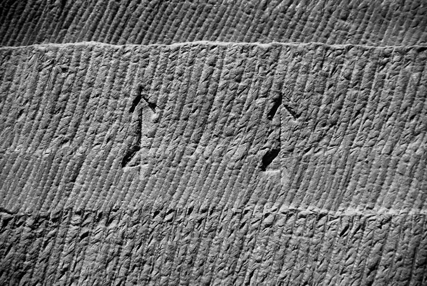 Segmented chisel tracks in the Ptolemaic part of the Gebel el-Silsila sandstone quarry. The two large ‘quarry marks’ at center (resembling a harpoon or arrow combined with the numeral four) and another smaller, fainter one at upper left (a harpoon only) symbolized the god Horus but may also have had some meaning related to the quarrying process (NILSSON forthcoming). Photo by JAMES HARRELL.