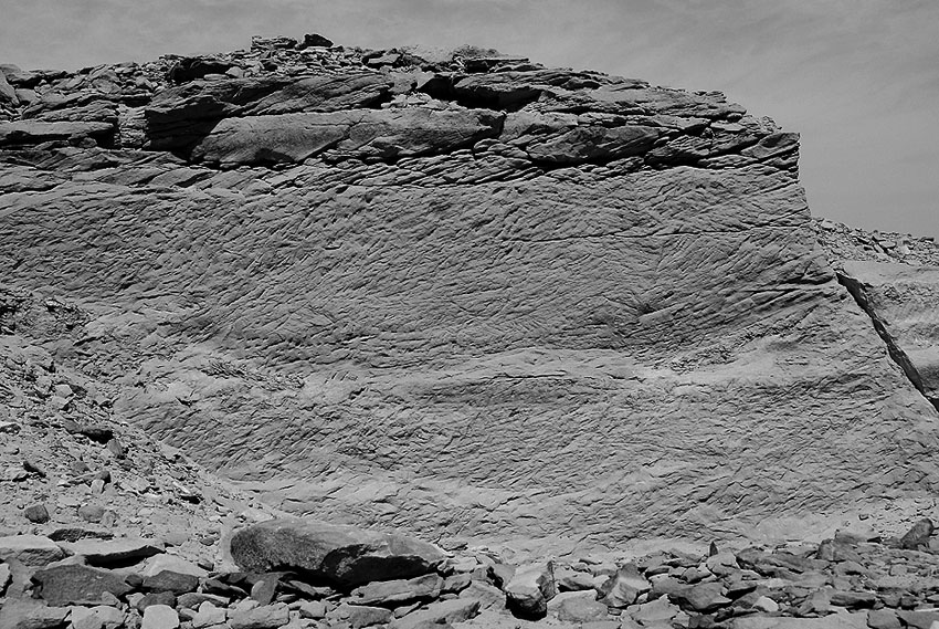 Tool marks in the Middle Kingdom part of the Nag el-Hammam sandstone quarry near Gebel el-Silsila. Photo by JAMES HARRELL.