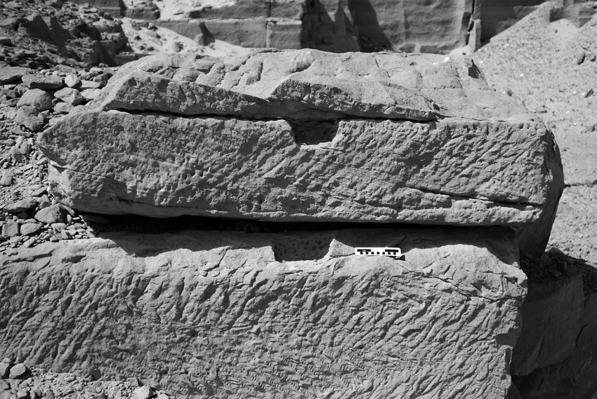 Lever sockets in the New Kingdom part of the Nag el-Hammam sandstone quarry near Gebel el-Silsila. Splitting occurred along horizontal bedding planes within the rock. Smallest scale division is 1 cm. Photo by JAMES HARRELL.