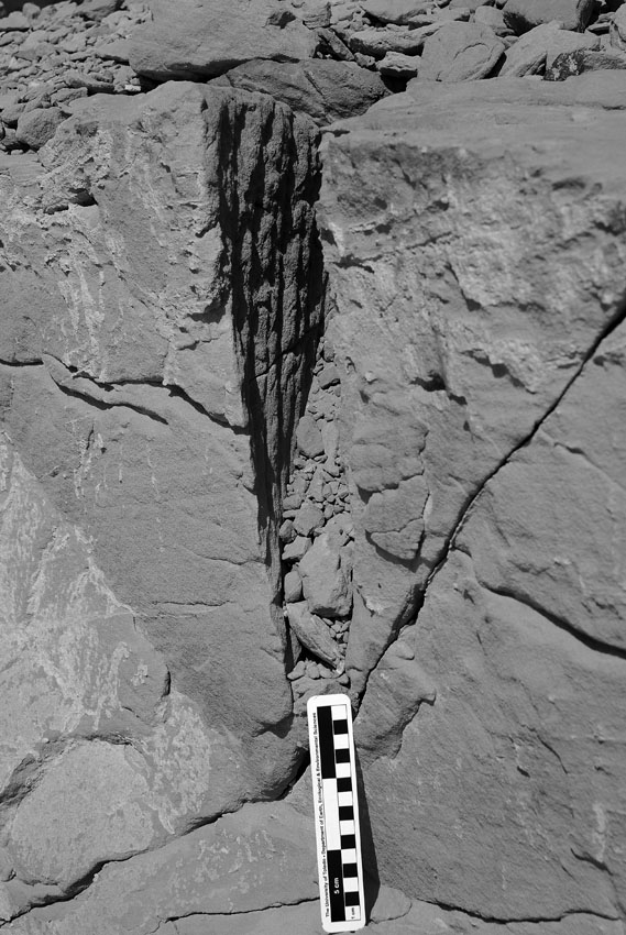 Trench cut by a long chisel in the New Kingdom part of the Nag el-Hammam sandstone quarry near Gebel el-Silsila. Note the chisel tracks running from top to bottom on the trench wall. Smallest scale division is 1 cm. Photo by JAMES HARRELL.