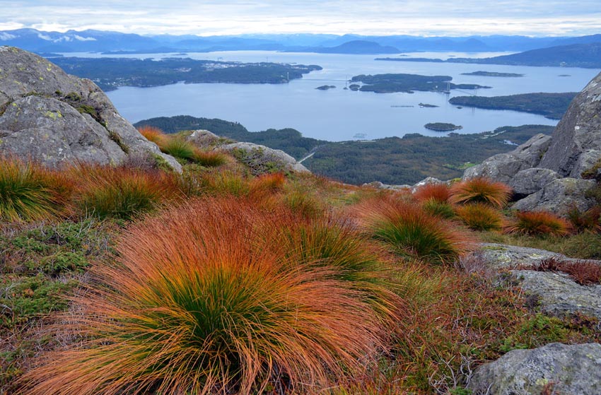 On the way to the Siggjo peak. Photo by Per Storemyr