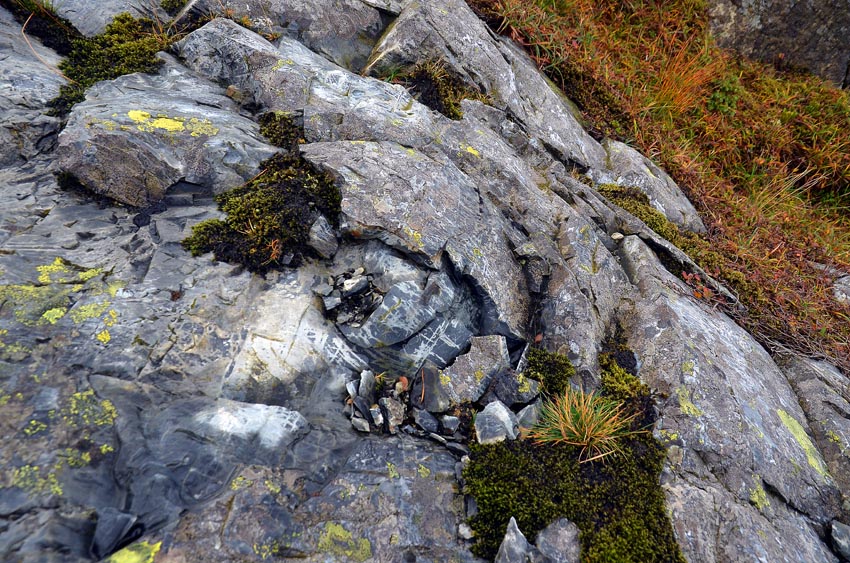 Spalled rock in the Siggjo Neolithic rhyolite quarries. Fire was a work. Photo by Per Storemyr