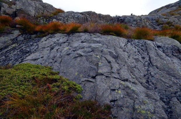 Convex traces of firesetting in the Siggjo Neolithic rhyolite quarries. Photo by Per Storemyr