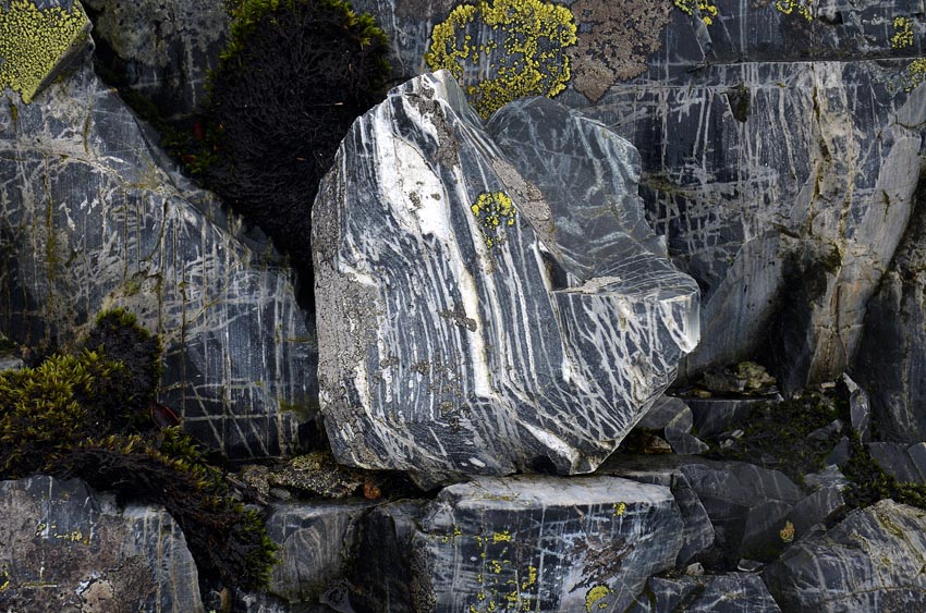 This is the rhyolite at Siggjo: fine-grained and banded. Photo by Per Storemyr