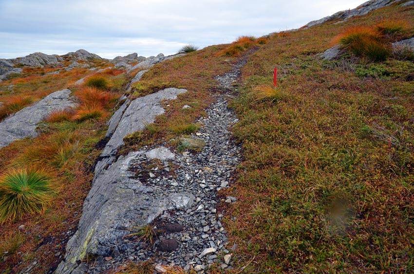 Mountain path on a waste heap at the Siggjo rhyolite quarry. Photo by Per Storemyr