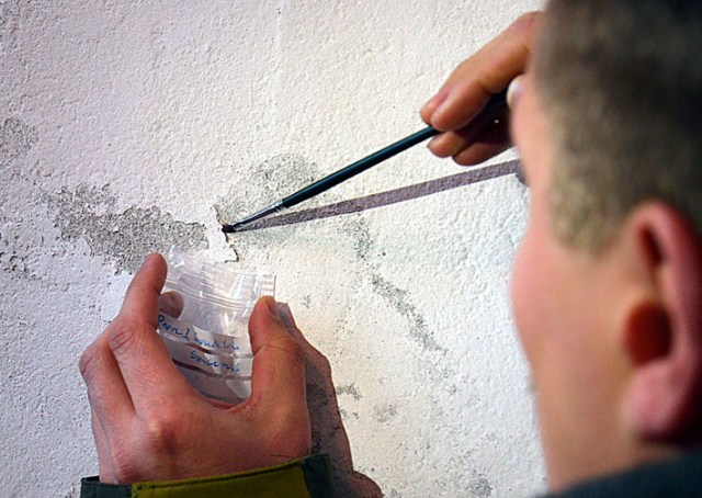 Slik kan man ta prøver av små mengder salt som har sprengt løs kalkslemmingen på en middelaldervegg: Med en pensel som dytter saltet ned i en liten prøvepose. Her fra Stavanger domkirke. Kjapp kjøkkenanalyse: Små mengder sulfat, klorid, men først og fremst nitrat, sannsynligvis natriumnitrat. Foto: Per Storemyr