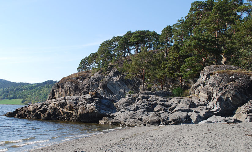 Steinbruddet i Storvika på Sutterøya. Vi ser hvordan det er hogd ut stein i den lett skrånende ryggen ut mot fjorden (her ved flo). Det er imidlertid noe usannsynlig at dette kan være et middelalderbrudd, da middelvannstand på den tiden kan ha stått 4-5 m høyere enn i dag. Foto: Per Storemyr.