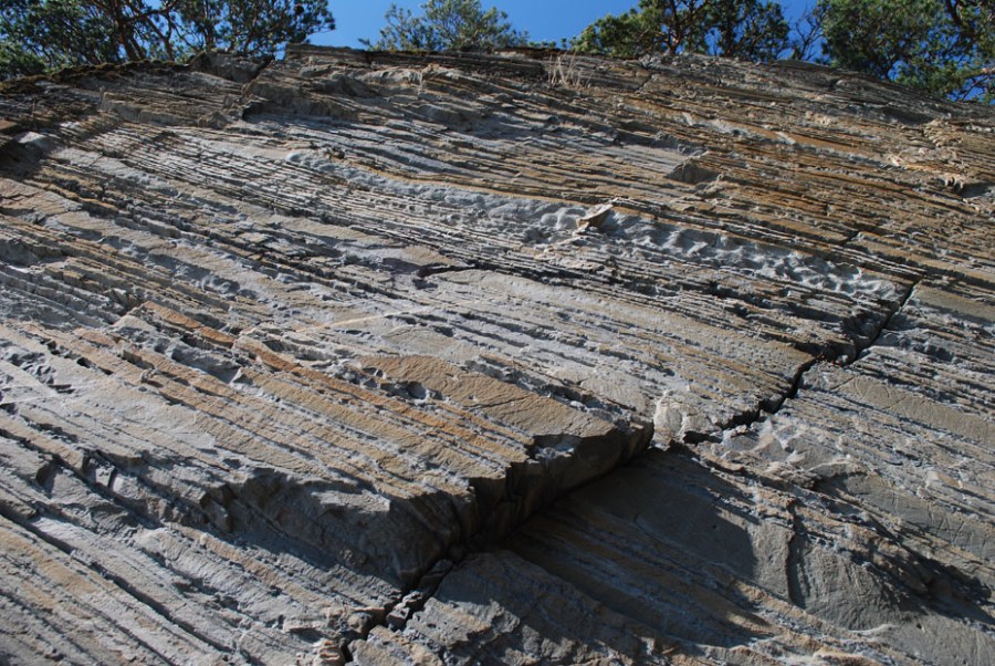 Lagrekke med Stjørdalsandstein ved Storvika på Sutterøya. Her ser vi hvordan steinen tar seg ut i en bratt fjellskrent, vekslinger mellom kompakt sandstein og lett forvitrede lag med kalkmineraler. Steinen er av samme kvalitet som den vi finner på Værnes kirke. Foto: Per Storemyr.