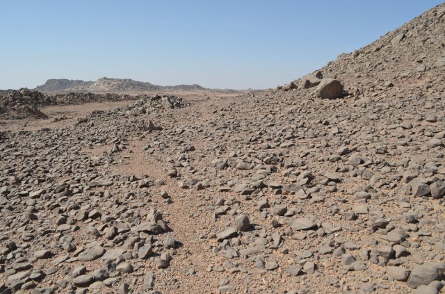 Dark and hard, “granitic” stone weathered from a vein in the surroundings of site 9 at Wadi el-Hudi. Such small boulders and blocks were collected and used as hammerstones. Photo by Per Storemyr