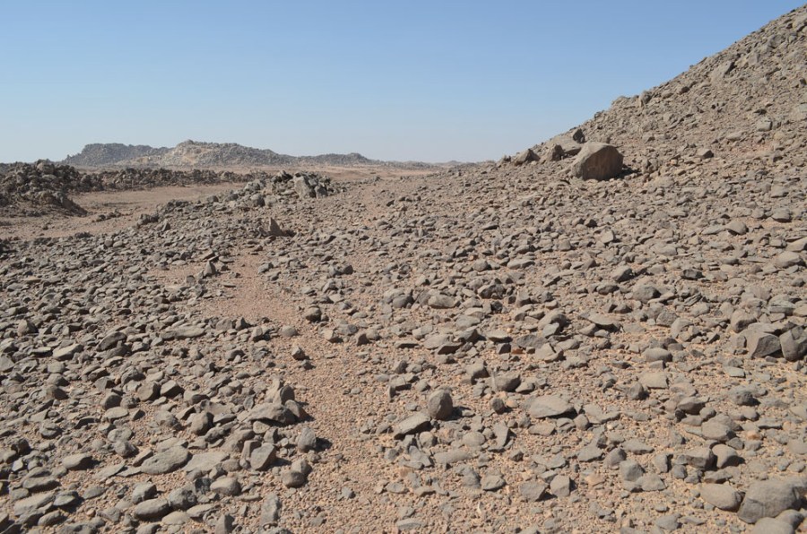 Dark and hard, “granitic” stone weathered from a vein in the surroundings of site 9 at Wadi el-Hudi. Such small boulders and blocks were collected and used as hammerstones. Photo by Per Storemyr