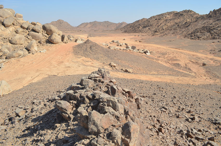Volcanic vein at Wadi el-Hudi. The area is crisscrossed by such veins, now cracked and weathered, but standing up from the surrounding rocks. The veins are a most important reason as to the mineral wealth in the region. Photo by Per Storemyr