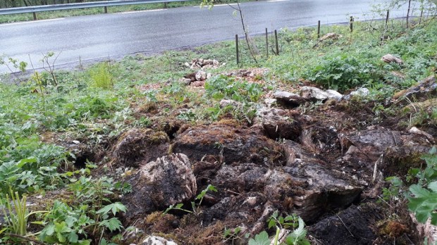 We needed more marble to fill the kiln! From our «quarry», a couple of hundred metres from Millstone Park.