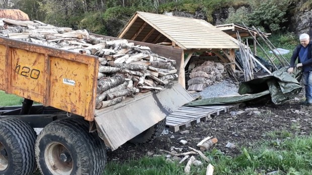 Firewood! 5 cublic metres of totally dry birch wood (dried indoors for five years). Later, we understood that 5 cubic was not enough, and we had to resort to burning wood of inferior quality, with great problems…