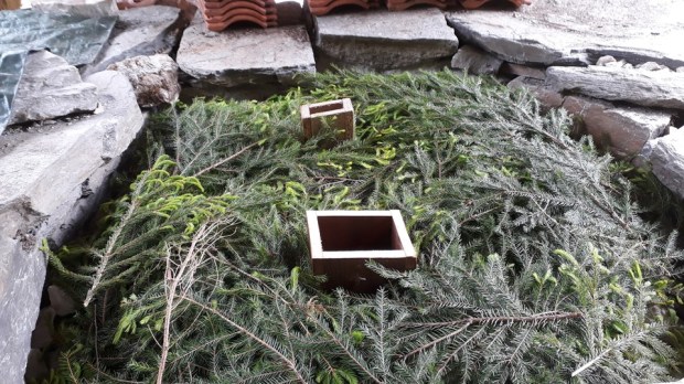Laying out a layer of spruce branches on top of the filled kiln…