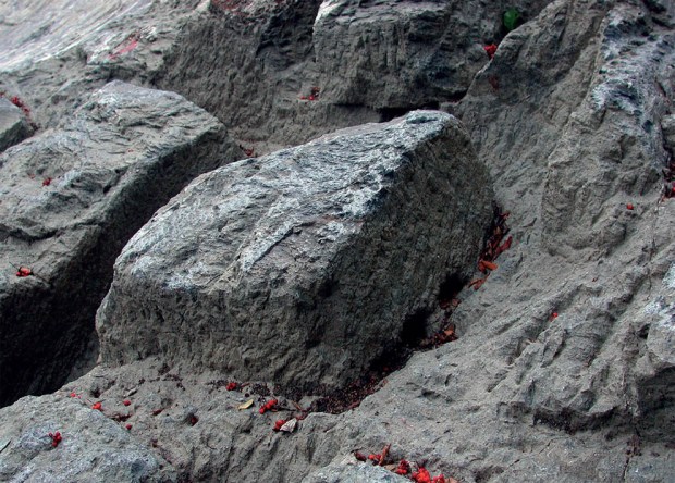 A carved-out, medieval soapstone block still attached to the bedrock. From excavations in the Bakkaunet quarry by Trondheim and Nidaros Cathedral, 2004. Photo by Per Storemyr