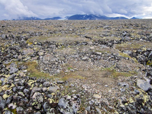 Islinser som har dannet hevede mønstre i morenemasser ved Juvasshytta i Jotunheimen. Foto: Per Storemyr