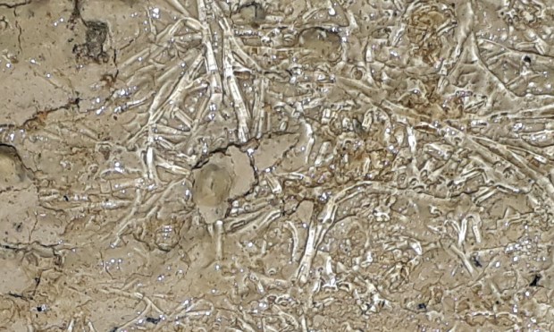 Overflater på puss og slemming er dekket av et lag med lange, slangeformede iskrystaller som har løsnet pussbiter, den 3. januar 2018. Bildebredde ca. 5 cm. Foto: Per Storemyr