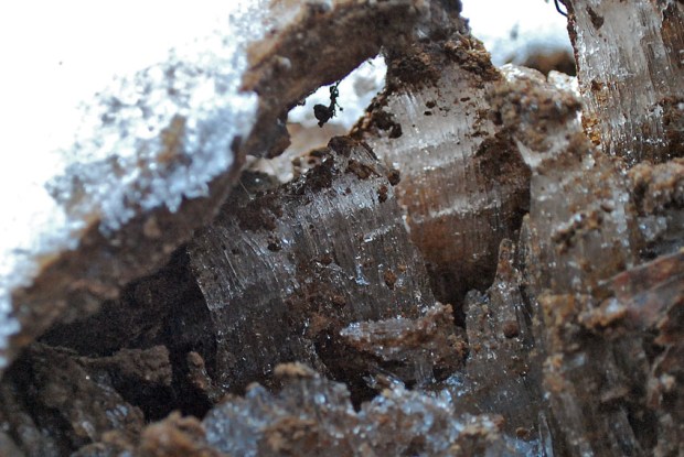 Frost heaving II: A sturdy lens of thick ice needles growing below a stone slab in a soil profile, lifting the stone. Moisture for the ice growth is provided from the ground below. In Hyllestad, Norway. Width of image c. 10 cm. Photo by Per Storemyr