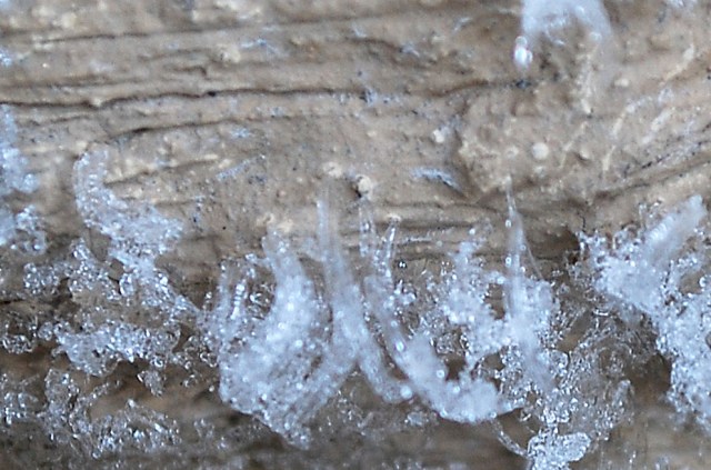 Minute ice whiskers I: Very small ice whiskers growing on lime plaster, creating light-coloured, circular scars in the plaster. Nothing serious in this case, but repeated a hundred times it will destroy the surface. Imagine a painted surface! Masonry of limekiln in Hyllestad, Western Norway. Width of image c. 1 cm. Photo by Per Storemyr