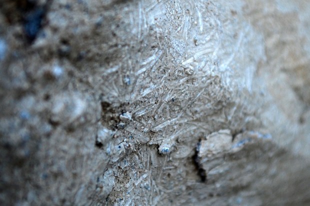 Sideway growth of micro icicles: Ice growing like needles along plaster, finding its way into weak parts and lifting small pieces. Masonry of limekiln in Hyllestad, Western Norway. Width of image c. 2 cm. Photo by Per Storemyr
