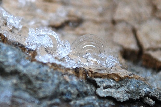 Minute ice whiskers II: Very small ice whiskers growing on lime plaster. Just beautiful! Masonry of limekiln in Hyllestad, Western Norway. Width of image c. 1 cm. Photo by Per Storemyr