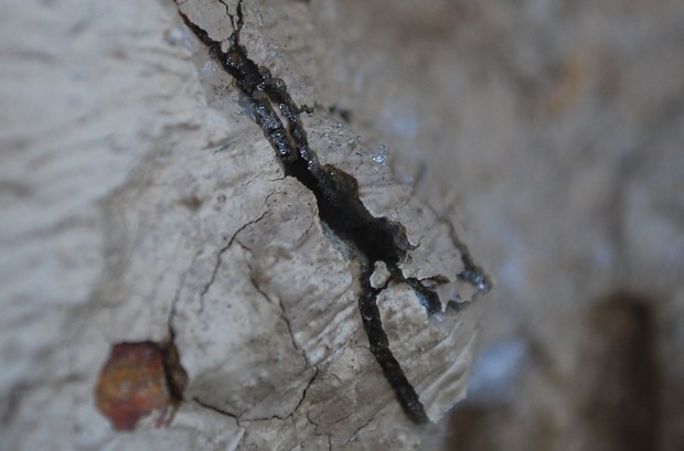 Frost heaving in masonry II: Ice crystals growing between several layers of lime wash, lifting the upper wash, creating cracks and eventually leading to destruction. Masonry of limekiln in Hyllestad, Western Norway. Width of image c. 3 cm. Photo by Per Storemyr