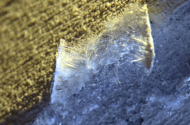 Needles of salt: Salt needles growing below a layer of limewash, lifting it and breaking it apart. From the 16th century Rosenkrantz tower in Bergen, Norway. Width of image c. 1 cm. Photo by Per Storemyr