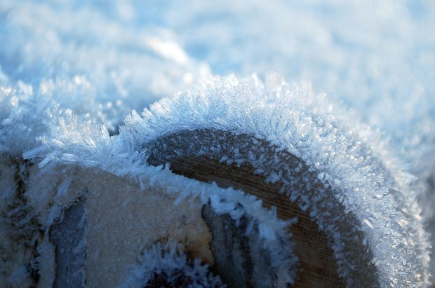 White frost II: A metal surface covered by growing ice needles. Moisture for the ice growth is provided by humidity in the air. In Hyllestad, Norway, width of image c. 5 cm. Photo by Per Storemyr