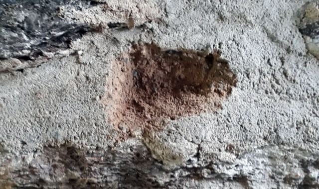 Poorly hardened lime mortar (brownish) at the Millstone Park limekiln in October 2018, below a light layer of hardened/carbonised at the surface. The mortar was applied in August 2018. Photo by Per Storemyr