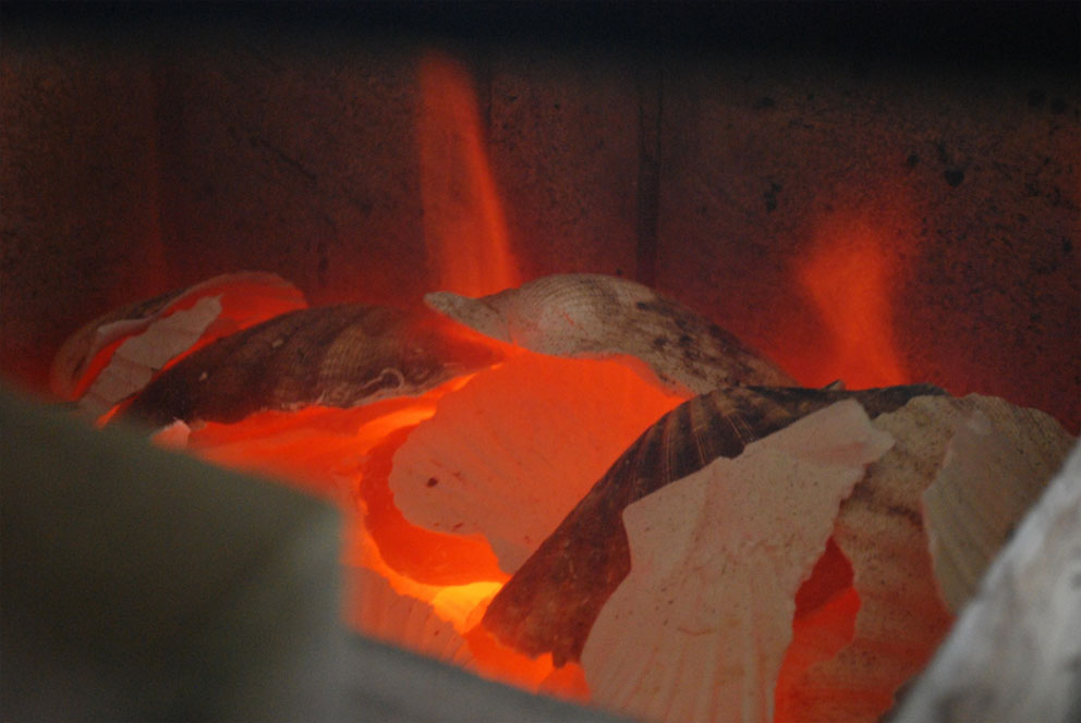 Burning seashells - scallop - to make lime wash and mortar in the small kiln in Millstone Park