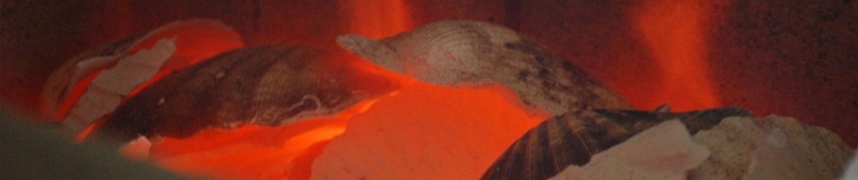 Burning seashells - scallop - to make lime wash and mortar in the small kiln in Millstone Park