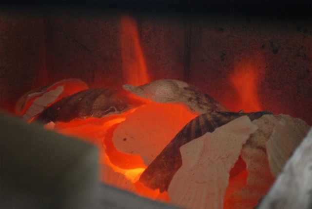 Burning seashells - scallop - to make lime wash and mortar in the small kiln in Millstone Park