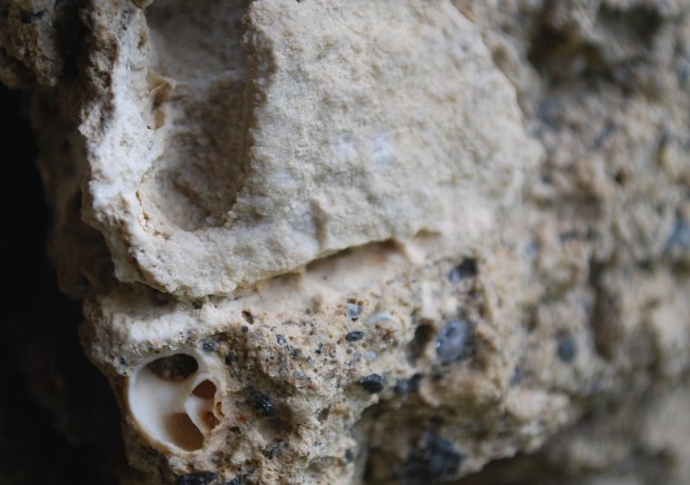 Ubrent marmorbit (over) og skjell i mørtel (under), kjernemørtel, Albanuskirken. Foto: Per Storemyr