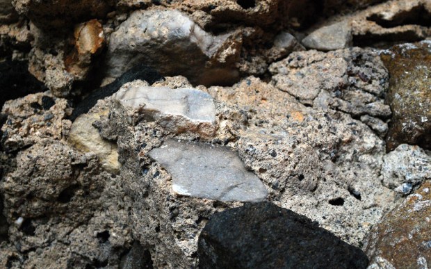 Ubrente marmorbiter (lysgrålige) i mørtelen i murkjernen på Albanuskirken, Selja kloster. Foto: Per Storemyr