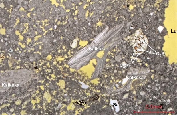 Mikroskopibilde av mørtelen i den gotiske delen av Albanuskirken på Selja, 1200-tallet. Vi legger merke til skjellfragmenter i tilslaget (Kalkskal), høy porøsitet (gult, Lu), lite sand i tilslaget (Sa) og ikke minst: sintermineraler (alit, C3S og ferrit C4AF) som viser at marmoren til mørtelen til dels ble brent på temperaturer nærmere 1400 grader. Foto: Torben Seir