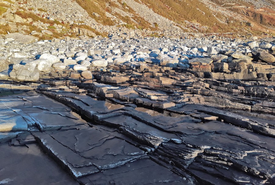 Hellebrudd i fjæra på Skårbø. Foto: Per Storemyr