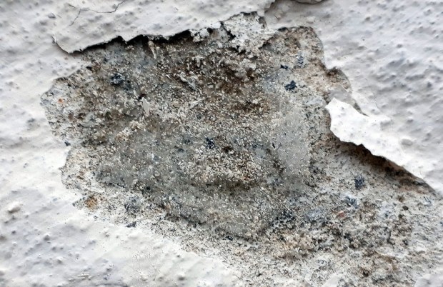 Litt vanskelig å se, men bildet viser en islinse under hvitting, fotografert ved en frostepisode i januar 2021. Isen har sprengt hvittingen og deler av slemmingen vekk.