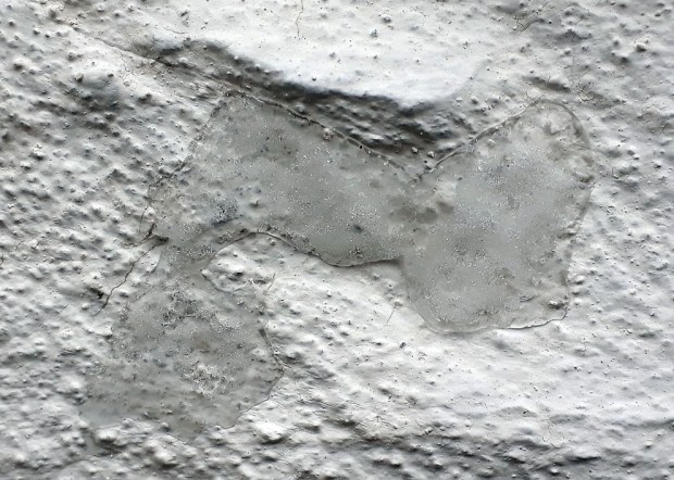 Tilsvarende islinse som i bildet over, her over hvittingen på Fastings Minde.