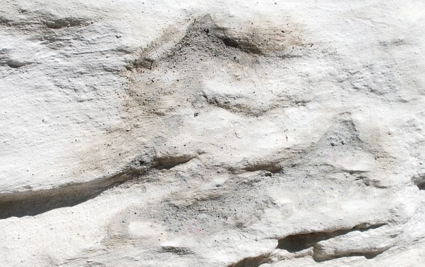 Skurte skadeområder før hvitting, litt mørkere enn omgivelsene på grunn av fukten i mørtelen