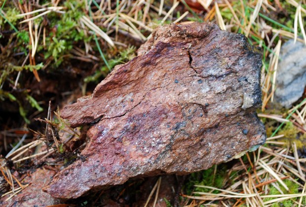 Sterkt forbrent stein (konglomerat?) ved kalkovnen