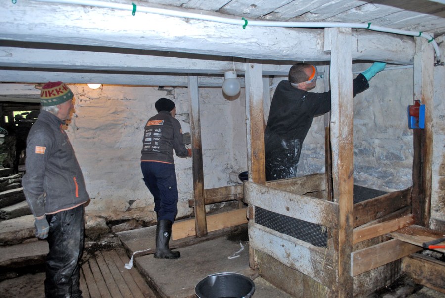 Havråtunet, fjøs: Kalking med Skaftåkalk