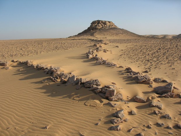 Typical game drive with trap formed as a funnel-shaped chute. From the Aswan region. Photo by Per Storemyr