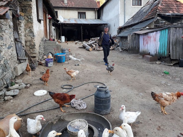 Bakgården til kalkbrenner Ghita. Et yrende liv med høns og ender og gjess og gris. Et svært trivelig sted.