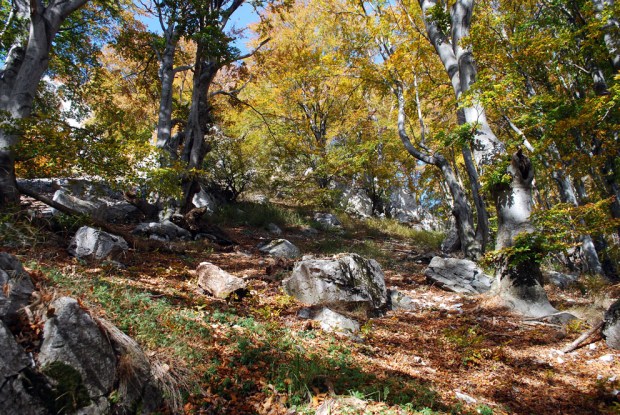 Kalksteinsbruddet er ikke store greiene. Men det er en nærmest uutømmelig kilde til kalkbrenning.